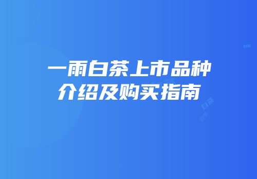 一雨白茶上市品种介绍及购买指南