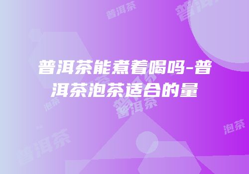 普洱茶能煮着喝吗-普洱茶泡茶适合的量