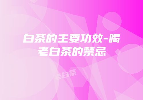 白茶的主要功效-喝老白茶的禁忌