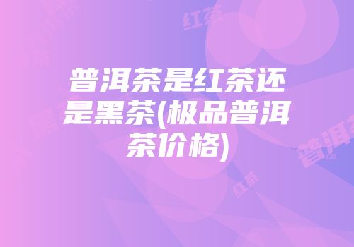 普洱茶是红茶还是黑茶(极品普洱茶价格)