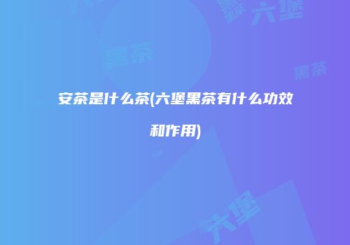 安茶是什么茶(六堡黑茶有什么功效和作用)