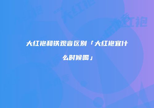 大红袍和铁观音区别「大红袍宜什么时候喝」