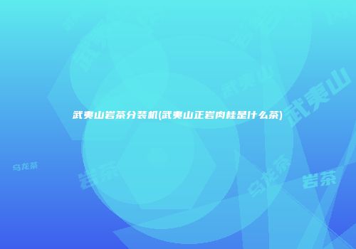 武夷山岩茶分装机(武夷山正岩肉桂是什么茶)
