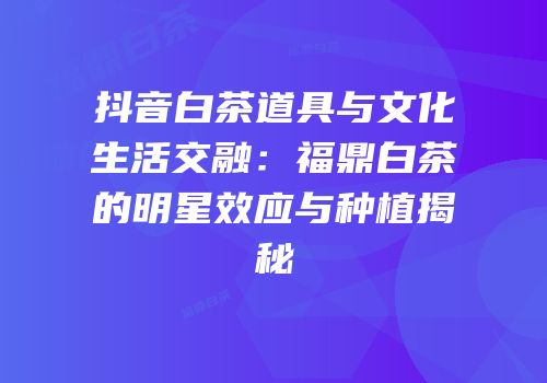 抖音白茶道具与文化生活交融：福鼎白茶的明星效应与种植揭秘