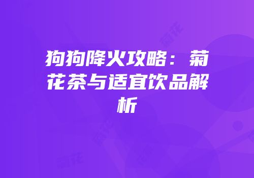 狗狗降火攻略：菊花茶与适宜饮品解析