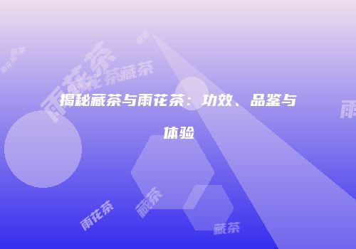 揭秘藏茶与雨花茶：功效、品鉴与体验
