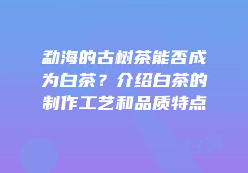 勐海的古树茶能否成为白茶？介绍白茶的制作工艺和品质特点