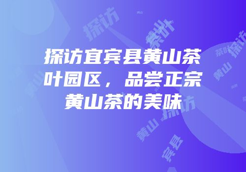探访宜宾县黄山茶叶园区，品尝正宗黄山茶的美味