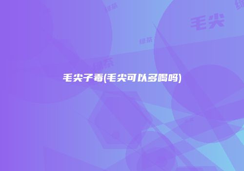 毛尖子毒(毛尖可以多喝吗)