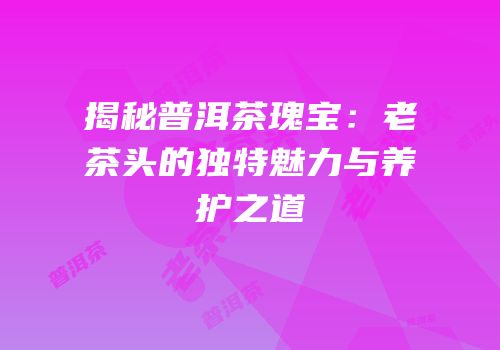 揭秘普洱茶瑰宝：老茶头的独特魅力与养护之道