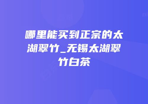 哪里能买到正宗的太湖翠竹_无锡太湖翠竹白茶