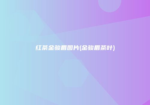 红茶金骏眉图片(金骏眉茶叶)