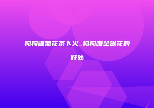 狗狗喝菊花茶下火_狗狗喝金银花的好处