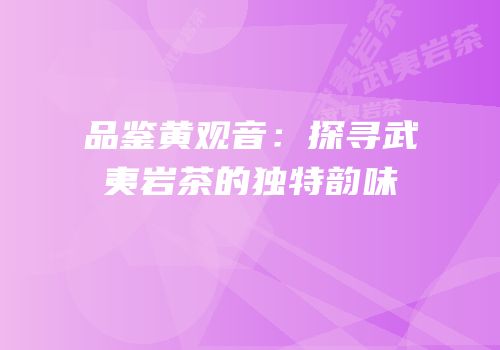 品鉴黄观音：探寻武夷岩茶的独特韵味