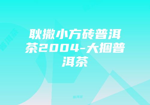 耿撒小方砖普洱茶2004-大捆普洱茶