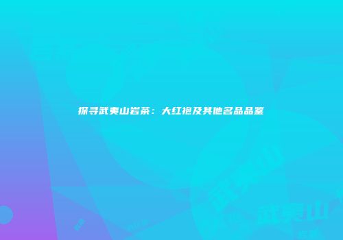 探寻武夷山岩茶：大红袍及其他名品品鉴