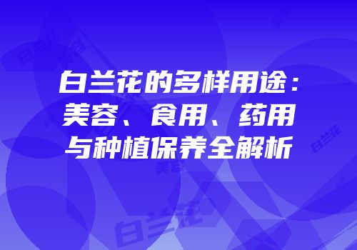 白兰花的多样用途：美容、食用、药用与种植保养全解析