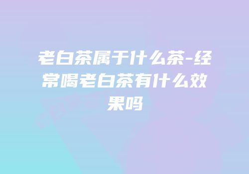 老白茶属于什么茶-经常喝老白茶有什么效果吗