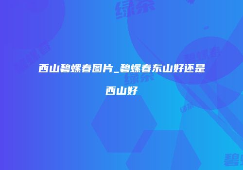西山碧螺春图片_碧螺春东山好还是西山好