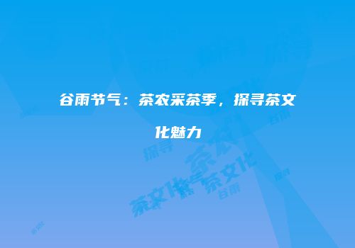 谷雨节气：茶农采茶季，探寻茶文化魅力