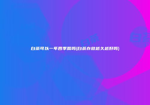 白茶可以一年四季喝吗(白茶存放越久越好吗)
