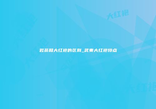 岩茶和大红袍的区别_武夷大红袍特点