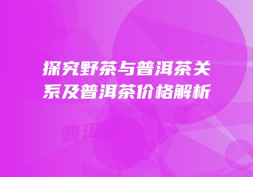 探究野茶与普洱茶关系及普洱茶价格解析