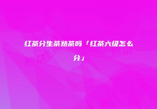 红茶分生茶熟茶吗「红茶六级怎么分」