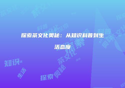 探索茶文化奥秘：从知识科普到生活态度