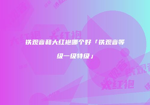 铁观音和大红袍哪个好「铁观音等级一级特级」