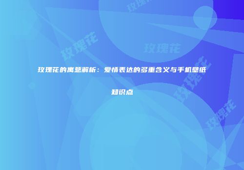 玫瑰花的寓意解析：爱情表达的多重含义与手机壁纸知识点