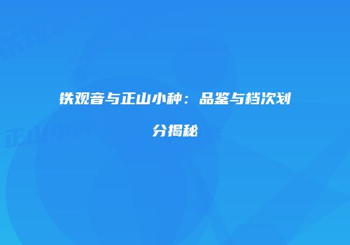 铁观音与正山小种：品鉴与档次划分揭秘