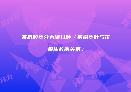 茶树的茎分为哪几种「茶树茎叶与花果生长的关系」
