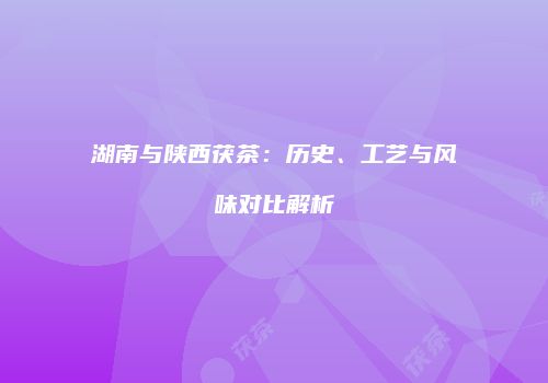 湖南与陕西茯茶：历史、工艺与风味对比解析