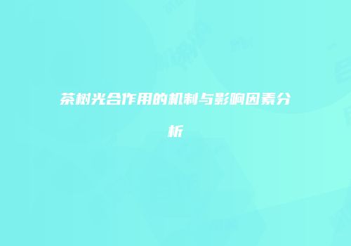 茶树光合作用的机制与影响因素分析