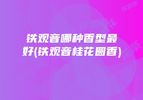 铁观音哪种香型最好(铁观音桂花圆香)