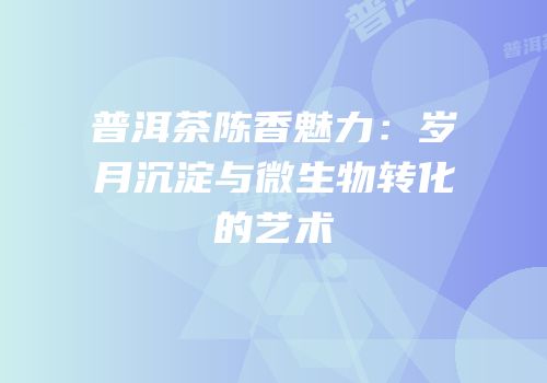 普洱茶陈香魅力：岁月沉淀与微生物转化的艺术