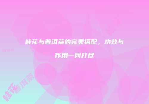 桂花与普洱茶的完美搭配，功效与作用一网打尽