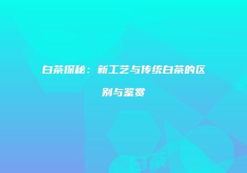 白茶探秘：新工艺与传统白茶的区别与鉴赏