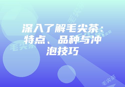 深入了解毛尖茶：特点、品种与冲泡技巧