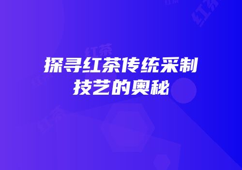 探寻红茶传统采制技艺的奥秘