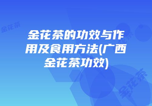 金花茶的功效与作用及食用方法(广西金花茶功效)