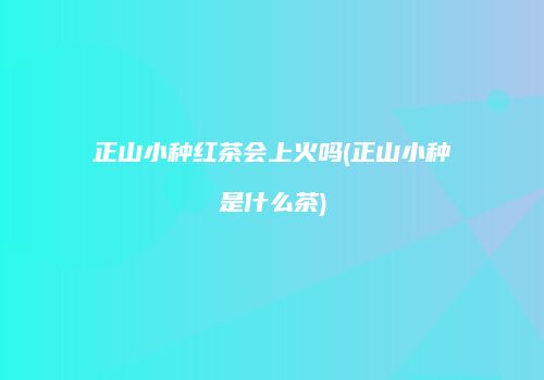正山小种红茶会上火吗(正山小种是什么茶)