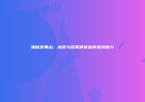 探秘武夷山：沁岩与岩雾涧茶业的独特魅力