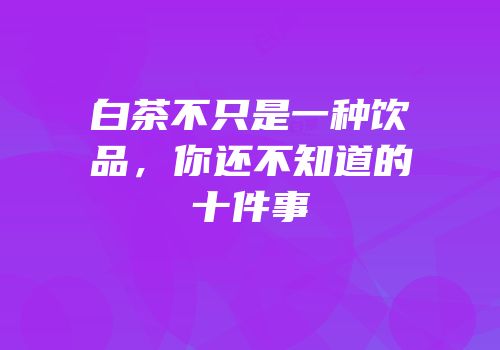 白茶不只是一种饮品，你还不知道的十件事