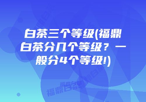 白茶三个等级(福鼎白茶分几个等级？一般分4个等级!)