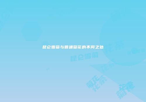 昆仑雪菊与普通菊花的不同之处