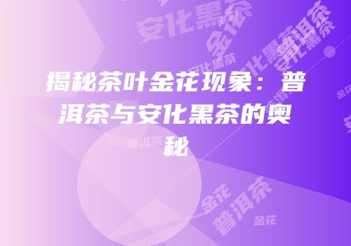 揭秘茶叶金花现象：普洱茶与安化黑茶的奥秘