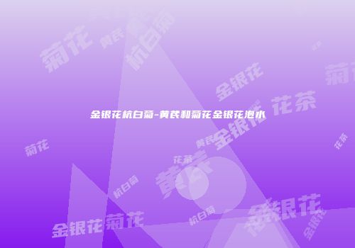 金银花杭白菊-黄芪和菊花金银花泡水