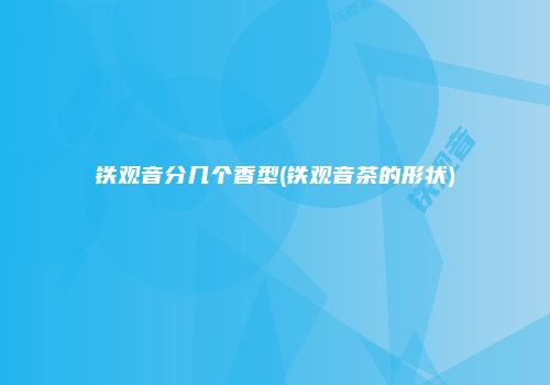 铁观音分几个香型(铁观音茶的形状)